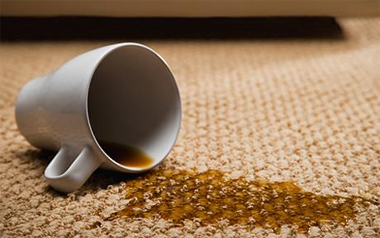 Carpet Cleaning San Leandro, CA